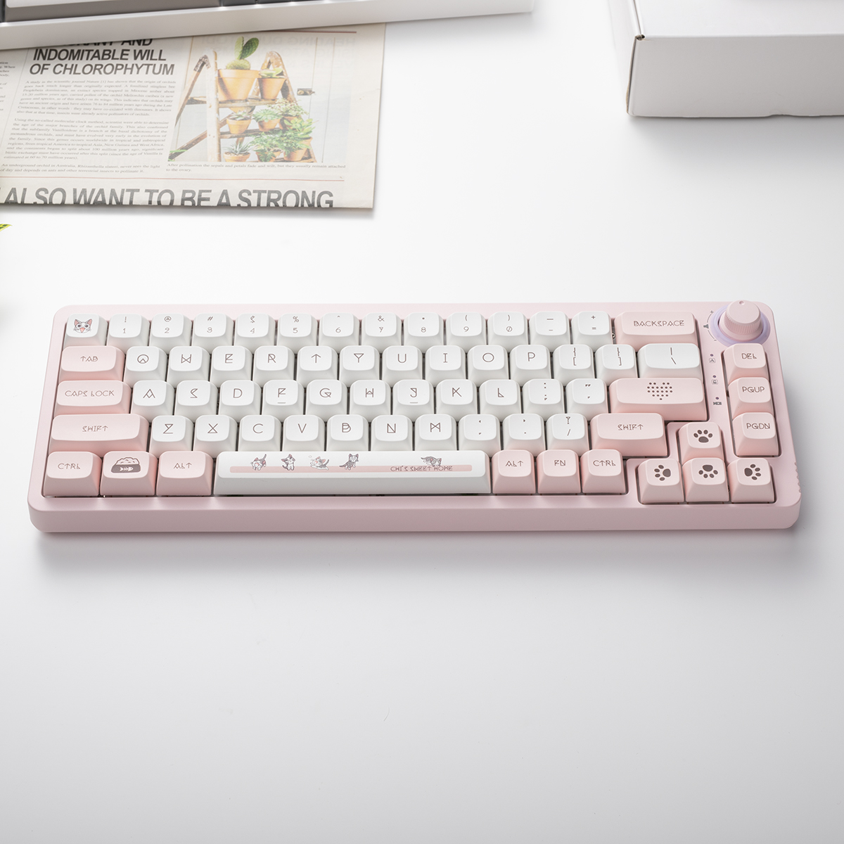 TM680 Hot Swap Mechanical Keyb – Hot Swap Pcb recenzja i cena
